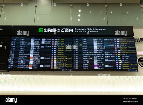 名古屋から博多 飛行機 ～空の旅と地上の思い～